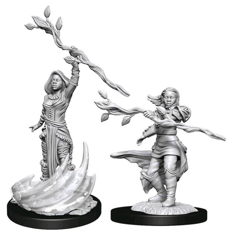 D&D Nolzur's Marvelous Miniatures - Human Druid